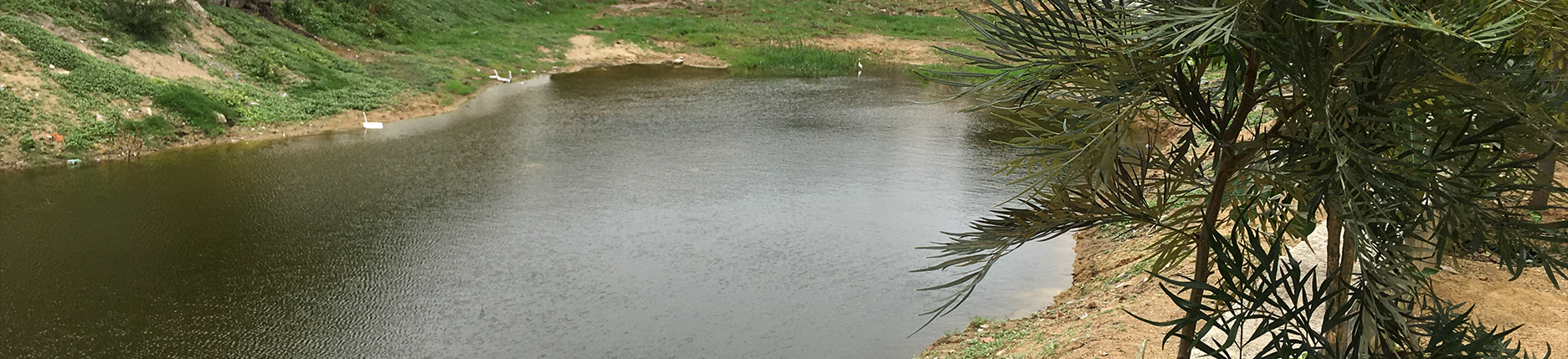 ranganakunta Project Wake the Lake